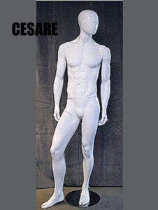 Cesare XL
